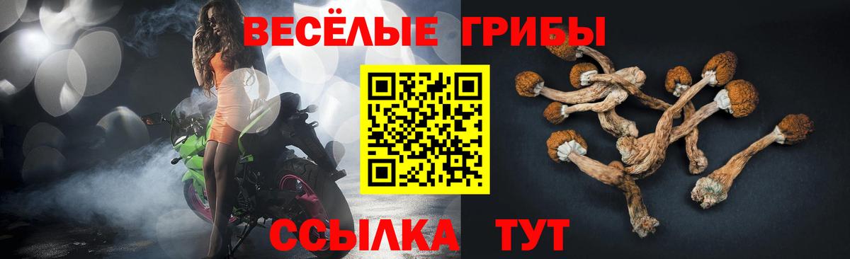Псилоцибиновые грибы мицелий Назарово